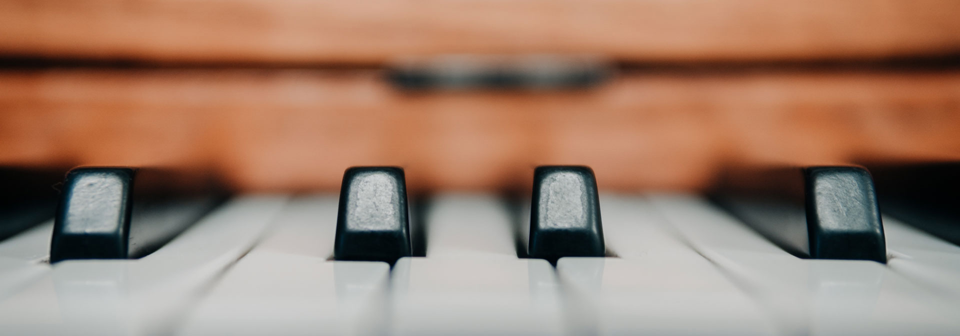 Photo by Andrik Langfield on Unsplash